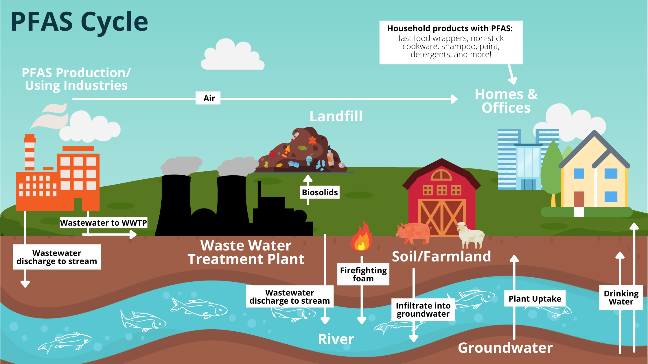 Forever Chemicals - What Are They and What Is Their Impact?